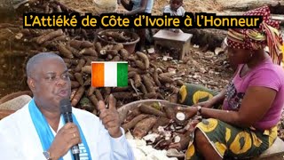 « Tentative d’Élimination »  Katinan Défend Laurent Gbagbo [upl. by Kcirtapnhoj]