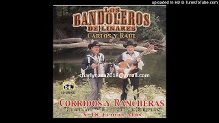 LOS BANDOLEROS DE LINARES  CORRIDOS Y RANCHERAS [upl. by Tonya]