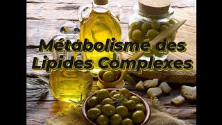 METABOLISME DES LIPIDES COMPLEXES [upl. by Wahl]