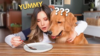 My Dog Reacts to the Invisible Food Challenge [upl. by Na]