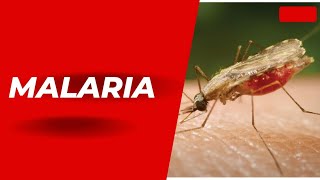 TOPIC14quotMALARIA FEVER ITS SYMPTOMSTYPES DIAGNOSIS AND TREATMENT [upl. by Norri]