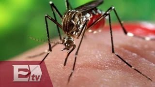 ¡Más infecciones de chikungunya en el Estado de México  Comunidad [upl. by Andeee]