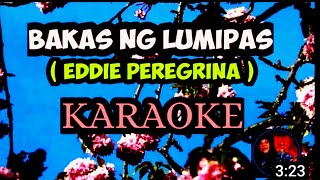 Bakas ng lumipas Karaoke  Eddie Peregrina Criskirk1001 [upl. by Engel]