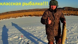 Классная рыбалка на жерлицы Ловля щуки [upl. by Reggy17]