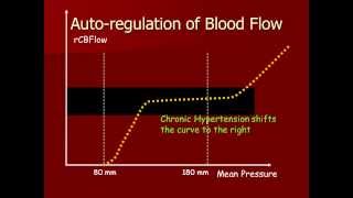 Autoregulation of Cerebral Blood [upl. by Sergius]