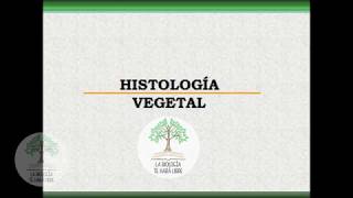 Histología vegetal reeditado [upl. by Chilson775]