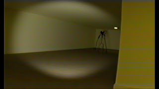 Wavelink  Found Footage 2  Backrooms [upl. by Matazzoni]