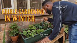 Just a Clueless 36 year old Starting an Edible Garden in the Middle of Winter [upl. by Darrel100]