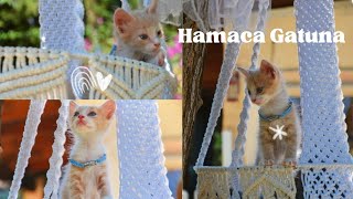 ✅HAMACA BOHEMIA para GATOS en MACRAMÉ 🙀 DIY Paso a Paso [upl. by Rudwik]