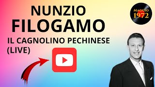 Nunzio Filogamo  Il cagnolino pechinese [upl. by Sjoberg]