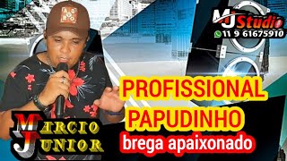 PROFISSIONAL PAPUDINHO [upl. by Migeon]