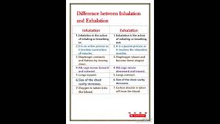 Difference between inhalation and exhalationl l Inhalation vs Exhalation [upl. by Doelling]