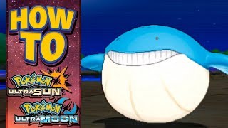 HOW TO GET Wailmer in Pokemon Ultra Sun and Moon [upl. by Yaffit976]