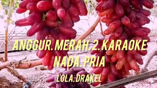 ANGGUR MERAH 2 KARAOKE NADA PRIACMC RECORD MUSIC TERKINI8z [upl. by Yahsel]