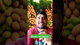 Quran recitation surah al kafiron trending reels [upl. by Annaik450]