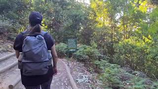 Hike from Constantia Nek to Kirstenbosch [upl. by Annaert879]