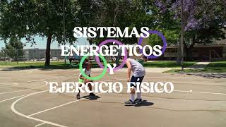 SISTEMA ENERGÉTICO Y EJERCICIO FÍSICO [upl. by Nnayram]