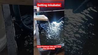 Setting Inkubator Penetasan Telur dan Larva Ikan Nila Merah [upl. by Clementi]