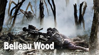 Battle of Belleau Wood  Where the US Marine Corps came of age and gained their fearsome reputation [upl. by Aizatsana]