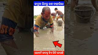 କାଦୁଅ ଭିତରୁ କଣ ବାହାରିଲା story gapa ytshort shorts facts viralvideo amazingfacts natia short [upl. by Yffub]