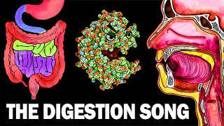 THE DIGESTIVE SYSTEM SONG [upl. by Aikaz]