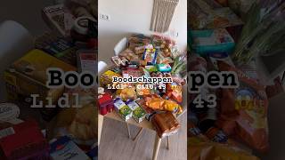 Mega boodschappen shoplog🤑Niet normaal toch boodschappen groceryhaul nederlands lidl minivlog [upl. by Kemme371]