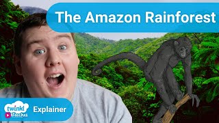 What is the Amazon Rainforest  Fun Activities for Kids [upl. by Llertak99]