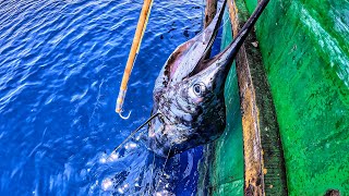 quotOMG Great Escape  We Caught a Live Giant Sailfish  Day 3 EP 9quot [upl. by Bartolemo]