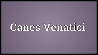 Canes Venatici Meaning [upl. by Elyad350]