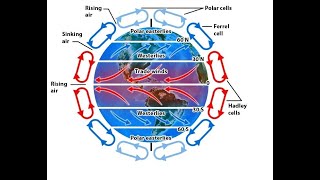 Convection Currents Heating and Global Winds A Full Video Lesson on what Drives Weather 6E2B3 [upl. by Hassadah507]