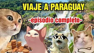 VIAJE A PARAGUAY episodio completo meme de gatos [upl. by Querida7]