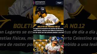 Juan Lagares y Gilberto Celestino lesionados aguilascibaeñas lidom [upl. by Reamy]