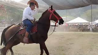 Cabalgata Feria Ganadera Provincial Zamora 2024 [upl. by Reinaldo]