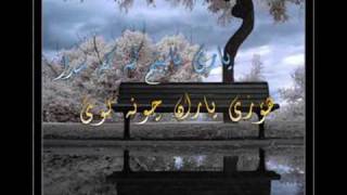 hafiz shirazi حافظ شیرازی به زمانی كوردی [upl. by Sink]