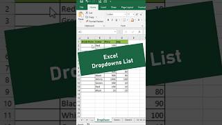 CREATE Dropdown Lists Like a PRO in MS Excel [upl. by Karleen]