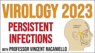 Virology Lectures 2023 17 Persistent infections [upl. by Ailahs]