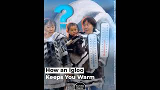 How an Igloo Keeps You Warm [upl. by Josephine]