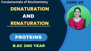 Denaturation And Renaturation of Protein BSc 2nd YearDenaturing AgentsAnfinsens Experiments [upl. by Yasmar]