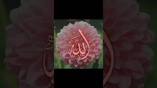 islamicstatus like subscribe comment share doda jamm and kashmir [upl. by Entsirhc469]