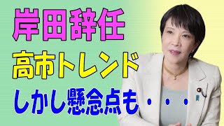 岸田辞任 高市トレンドに 懸念点 [upl. by Bobbee]