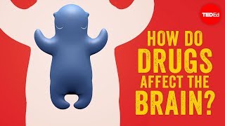 How do drugs affect the brain  Sara Garofalo [upl. by Allmon]