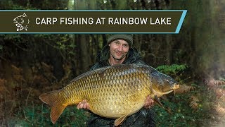 CARP FISHING AT RAINBOW LAKE [upl. by Cahra]