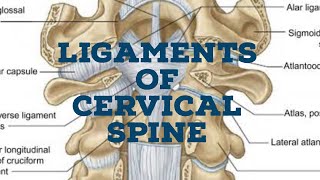 Ligaments of cervical spine [upl. by Barayon987]