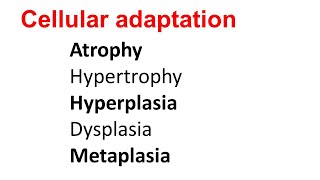 Cellular Adaptation  Atrophy Hypertrophy Hyperplasia Dysplasia Metaplasia [upl. by Neelyaj314]