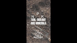 Soil Biology and Minerals [upl. by Ashton244]