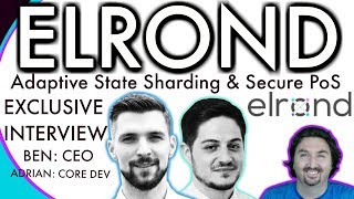 Elrond AMA  BlockchainBrad EXCLUSIVE interview  Adaptive State Sharding  CEO Interview [upl. by Euqilegna]