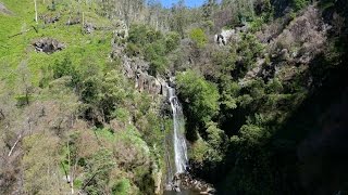 Madeira Walking on Levada dos Tornos [upl. by Lady]