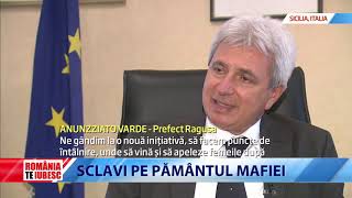 ROMÂNIA TE IUBESC  SCLAVI PE PĂMÂNTUL MAFIEI [upl. by Nalor]