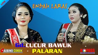 GdCUCUR BAWUK PALARAN KOMPLIT  ENDAH LARAS [upl. by Klara]