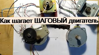 Как шагает ШАГОВЫЙ двигатель [upl. by Emmie]